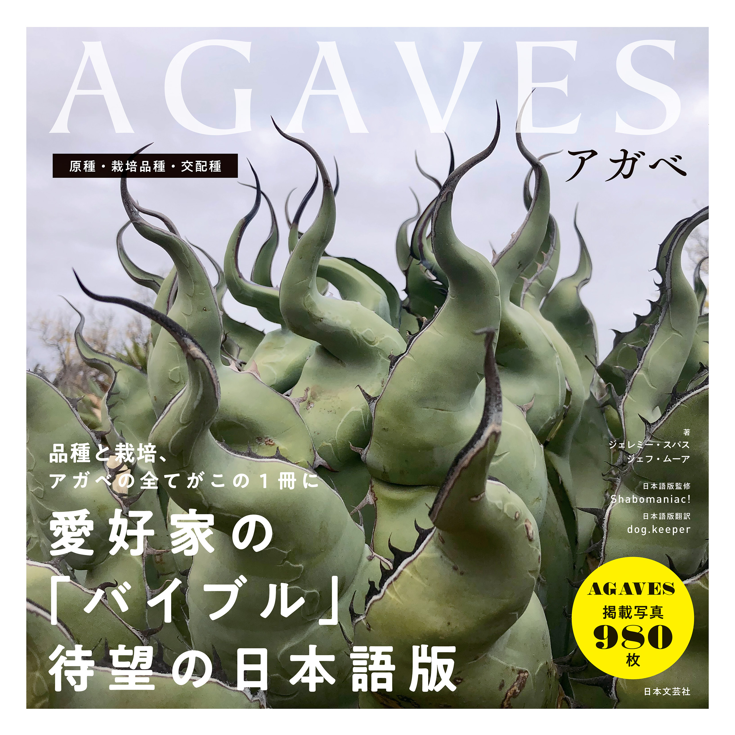 AGAVES～アガベ～