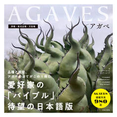 AGAVES~アガベ~