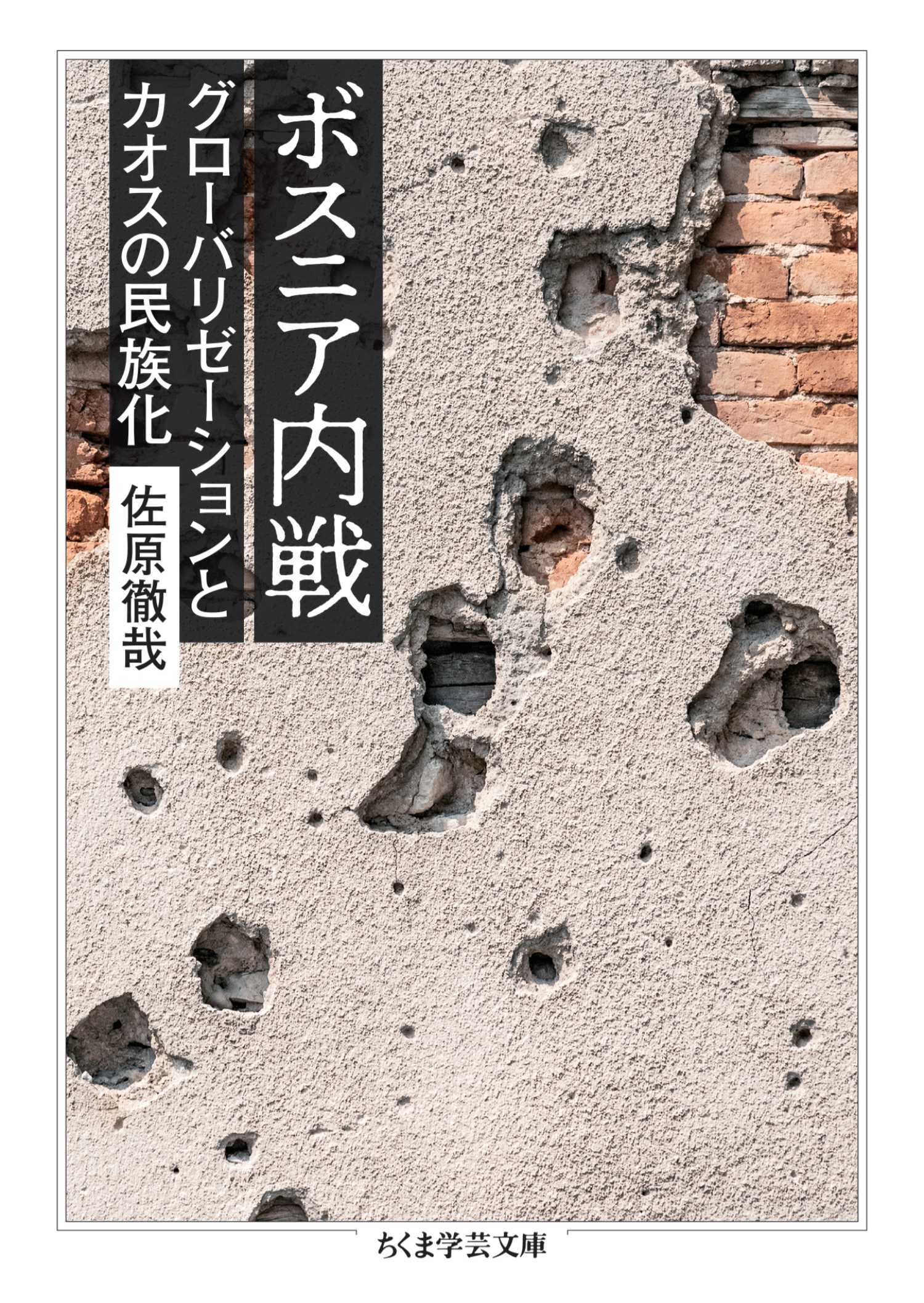 ボスニア内戦　――グローバリゼーションとカオスの民族化