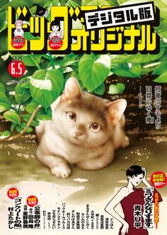 ビッグコミックオリジナル 2025年11号(2025年5月20日発売)