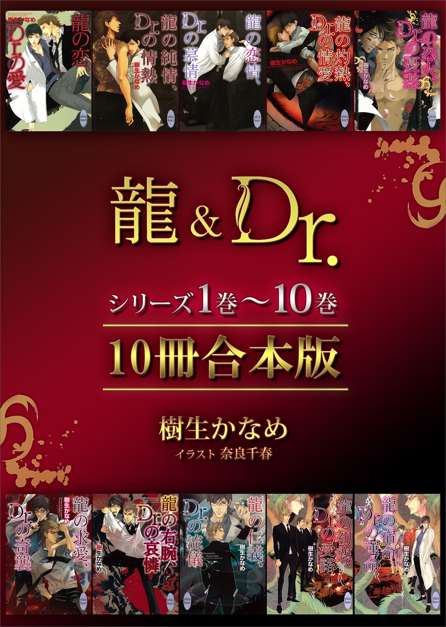 龍＆Ｄｒ．シリーズ１巻～１０巻　１０冊合本版