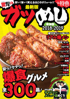 ガツめし東海版2018-2019