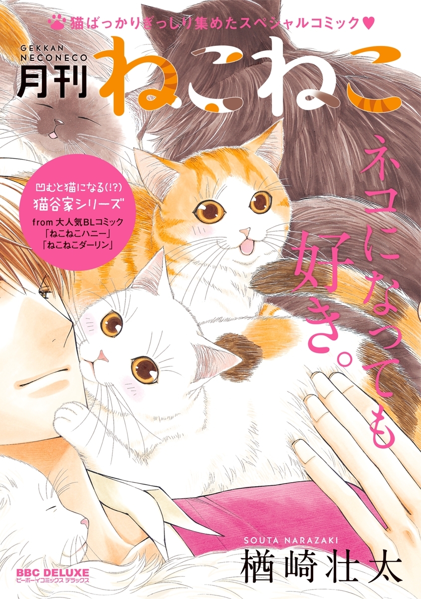 月刊ねこねこ