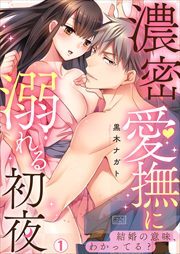 濃密愛撫に溺れる初夜～結婚の意味、わかってる?(1)