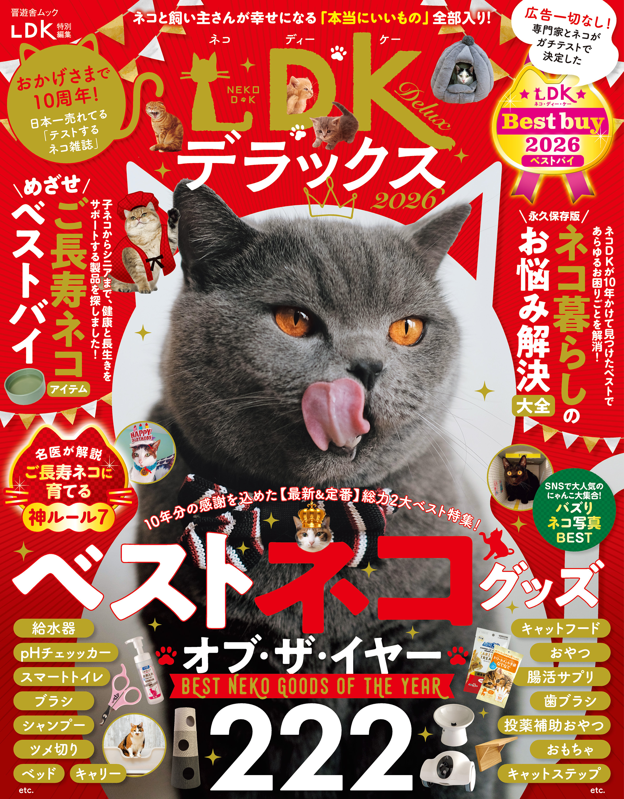 晋遊舎ムック　ネコDKデラックス2026