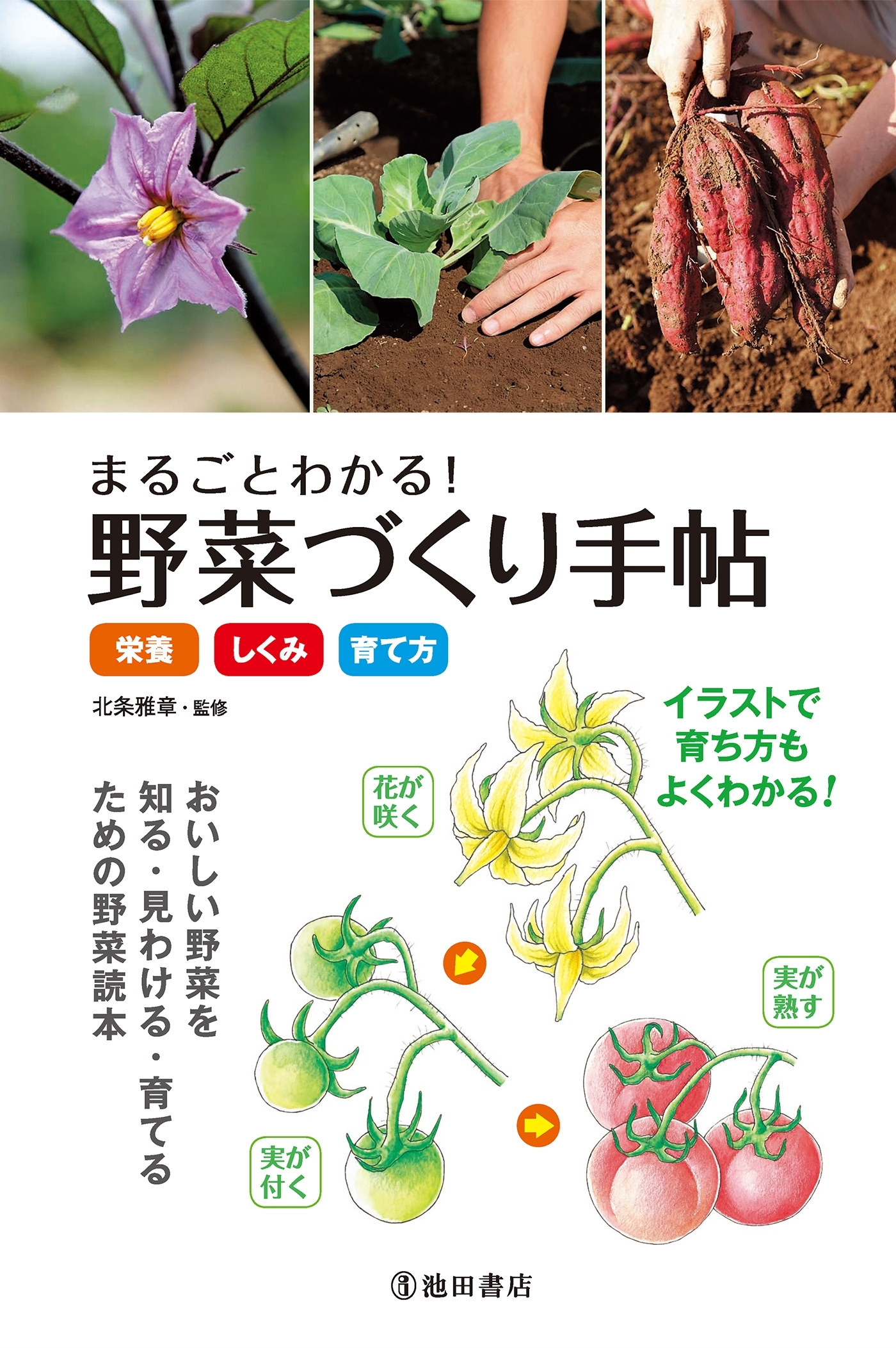 まるごとわかる！ 野菜づくり手帖《栄養・しくみ・育て方》（池田書店）