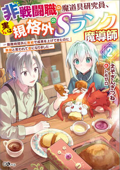 非戦闘職の魔道具研究員、実は規格外のSランク魔導師2 ~勤務時間外に無給で成果を上げてきたのに無能と言われて首になりました~