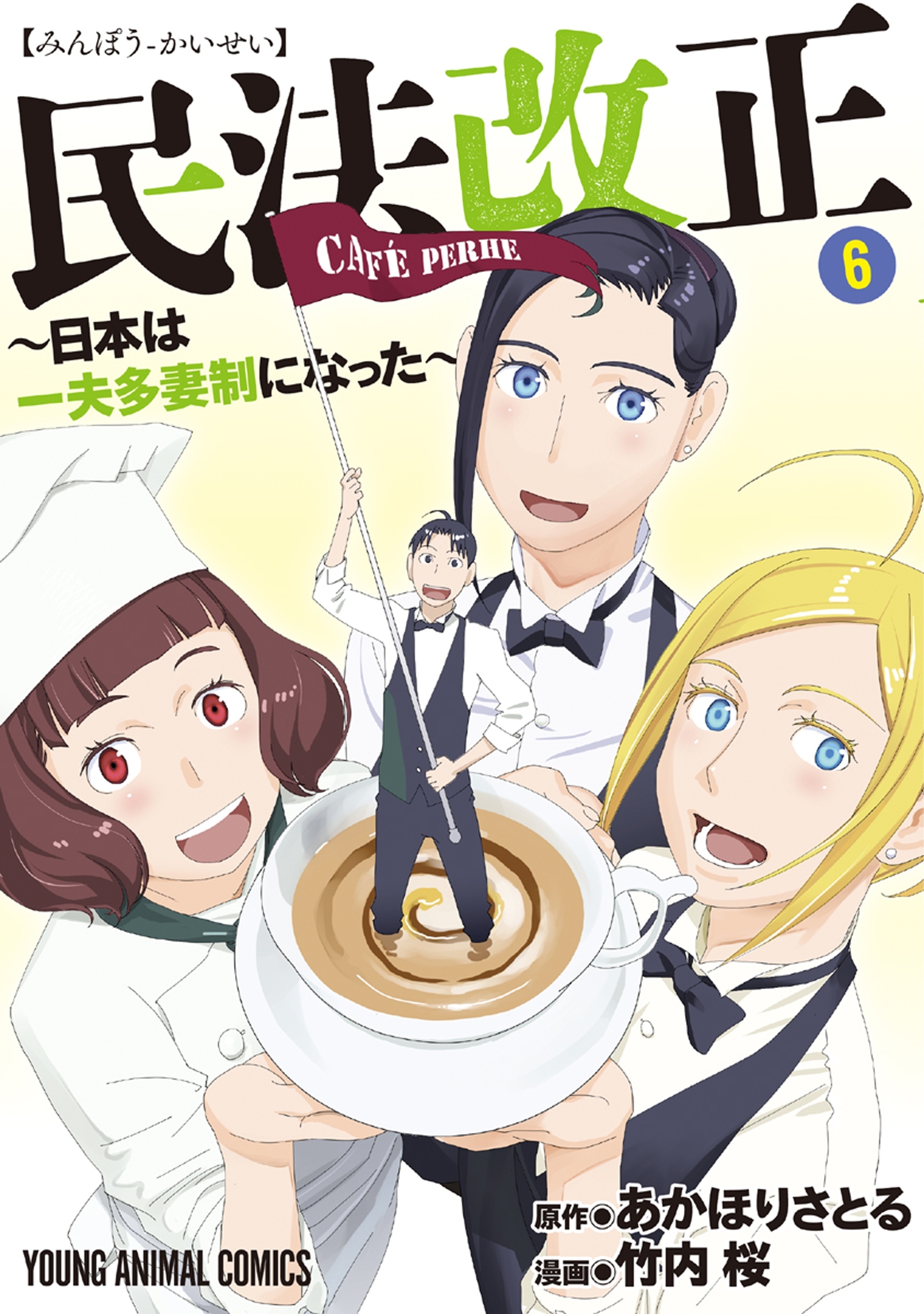 民法改正～日本は一夫多妻制になった～