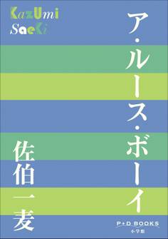 P+D BOOKS ア・ルース・ボーイ