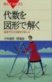 代数を図形で解く 直感でわかる数学の楽しみ