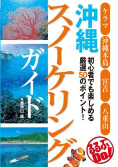 沖縄スノーケリングガイド