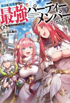 自分に自信がない最強パーティーメンバーが辞めたがる件 2.聖女の秘密と災厄の魔女