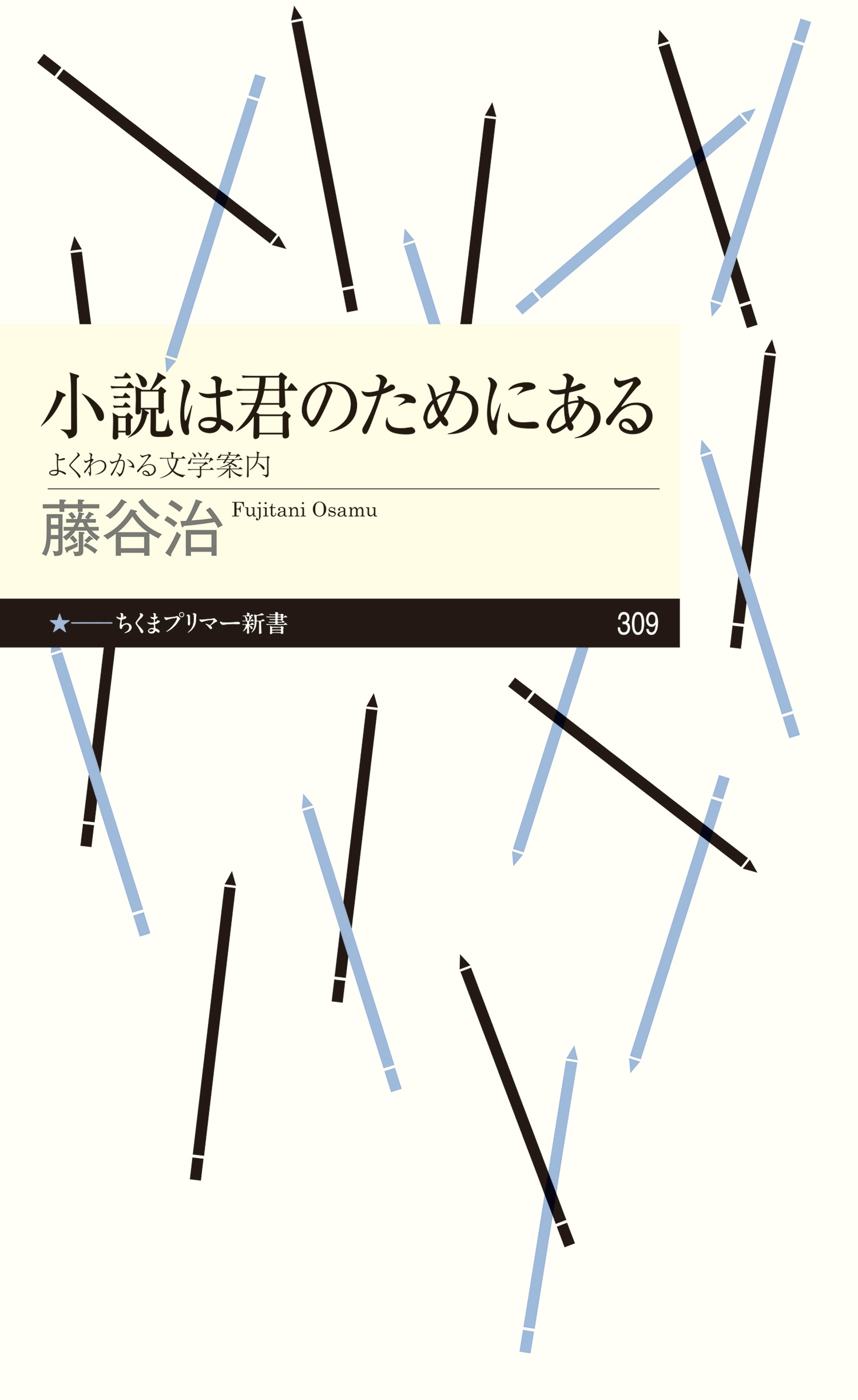 小説は君のためにある　──よくわかる文学案内