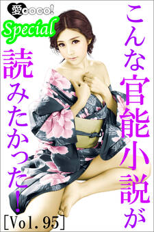 こんな官能小説が読みたかった!vol.95