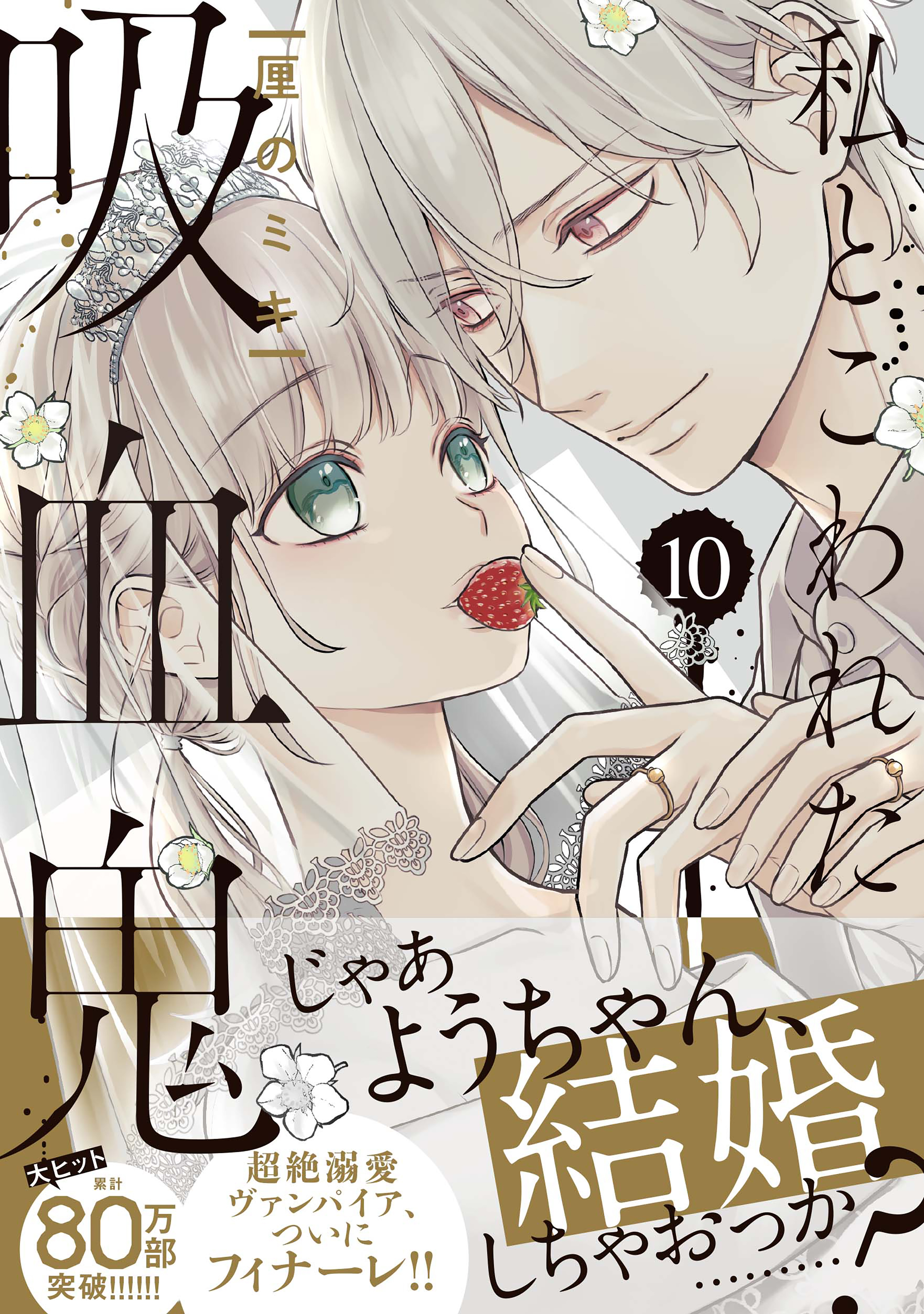 私とこわれた吸血鬼