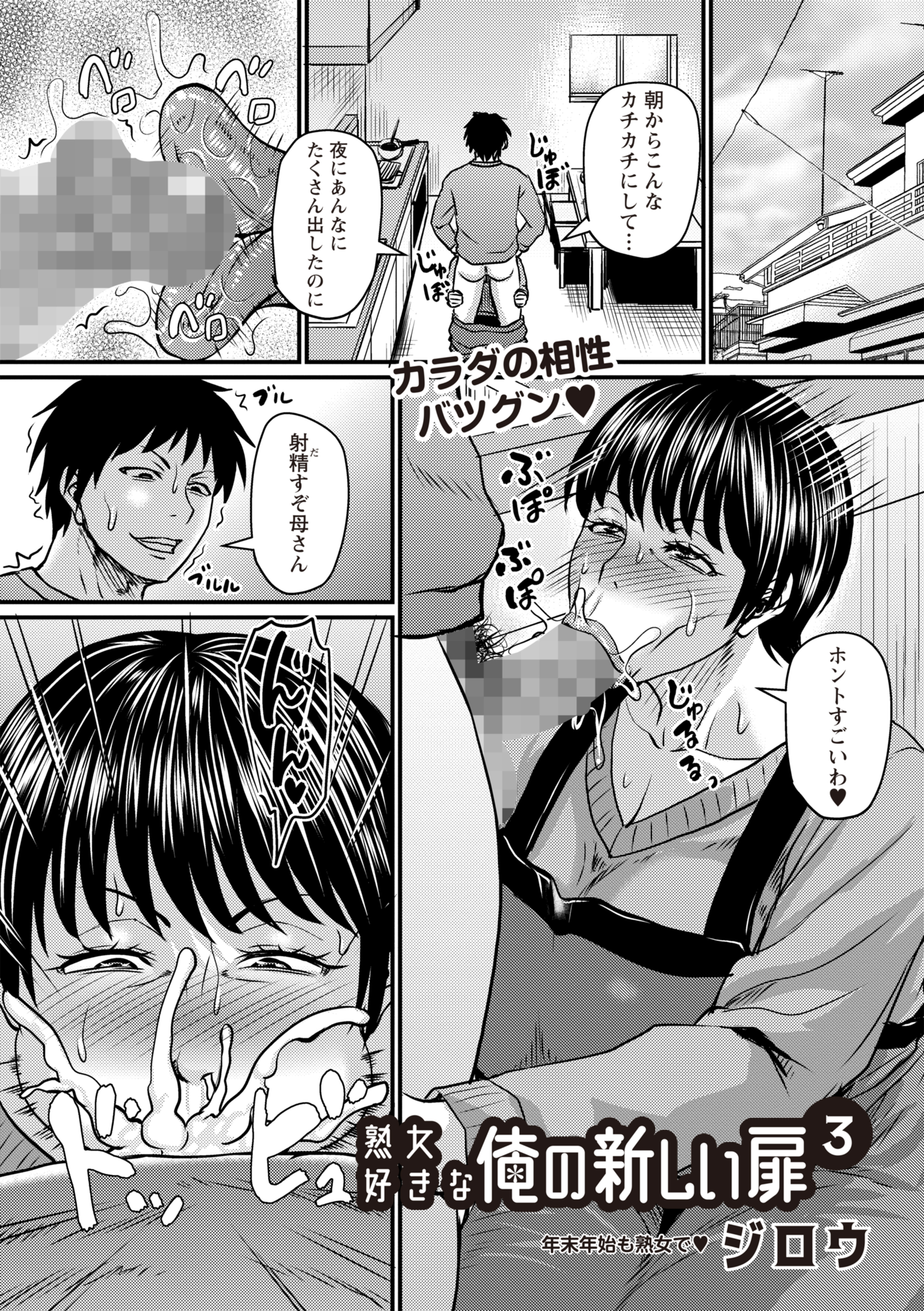 熟女好きな俺の新しい扉3