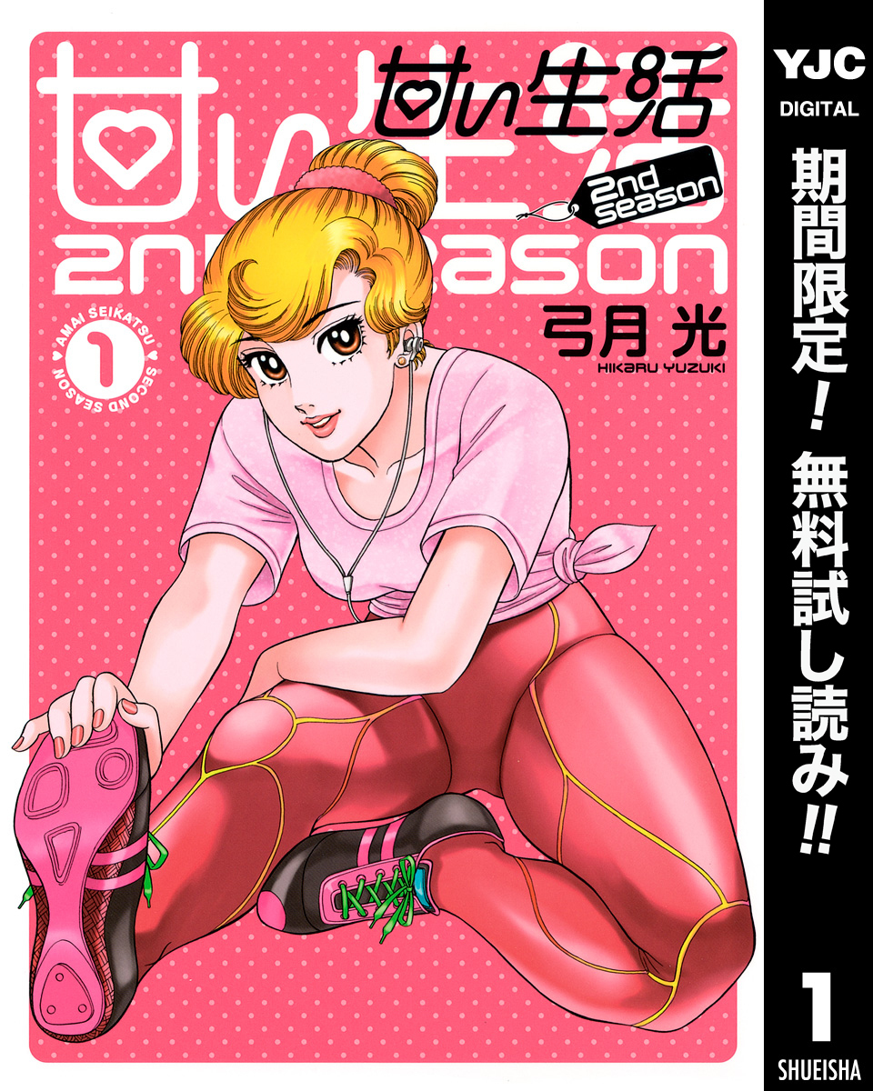 甘い生活 2nd season