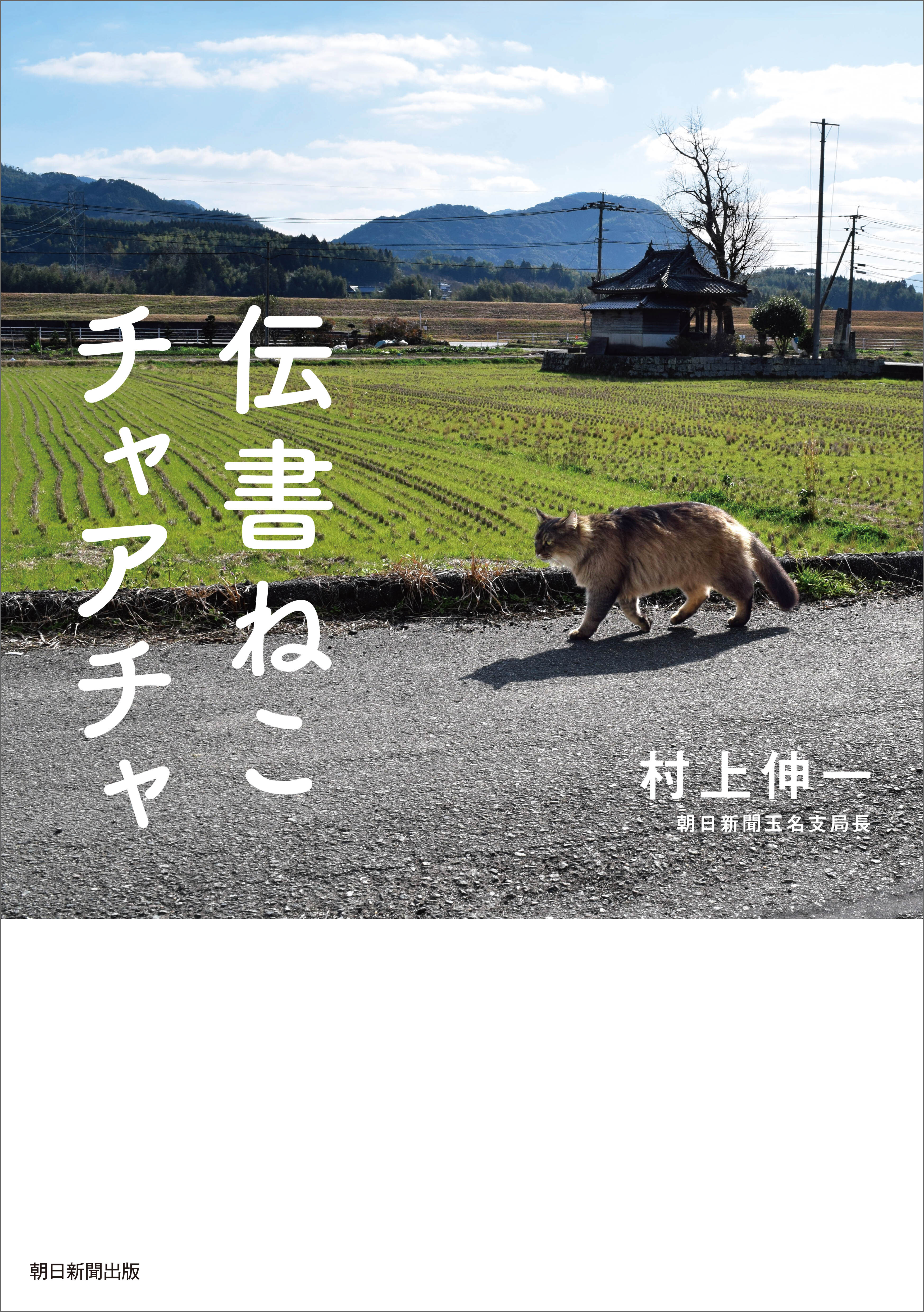 伝書ねこ　チャアチャ