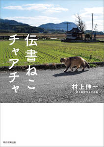 伝書ねこ　チャアチャ