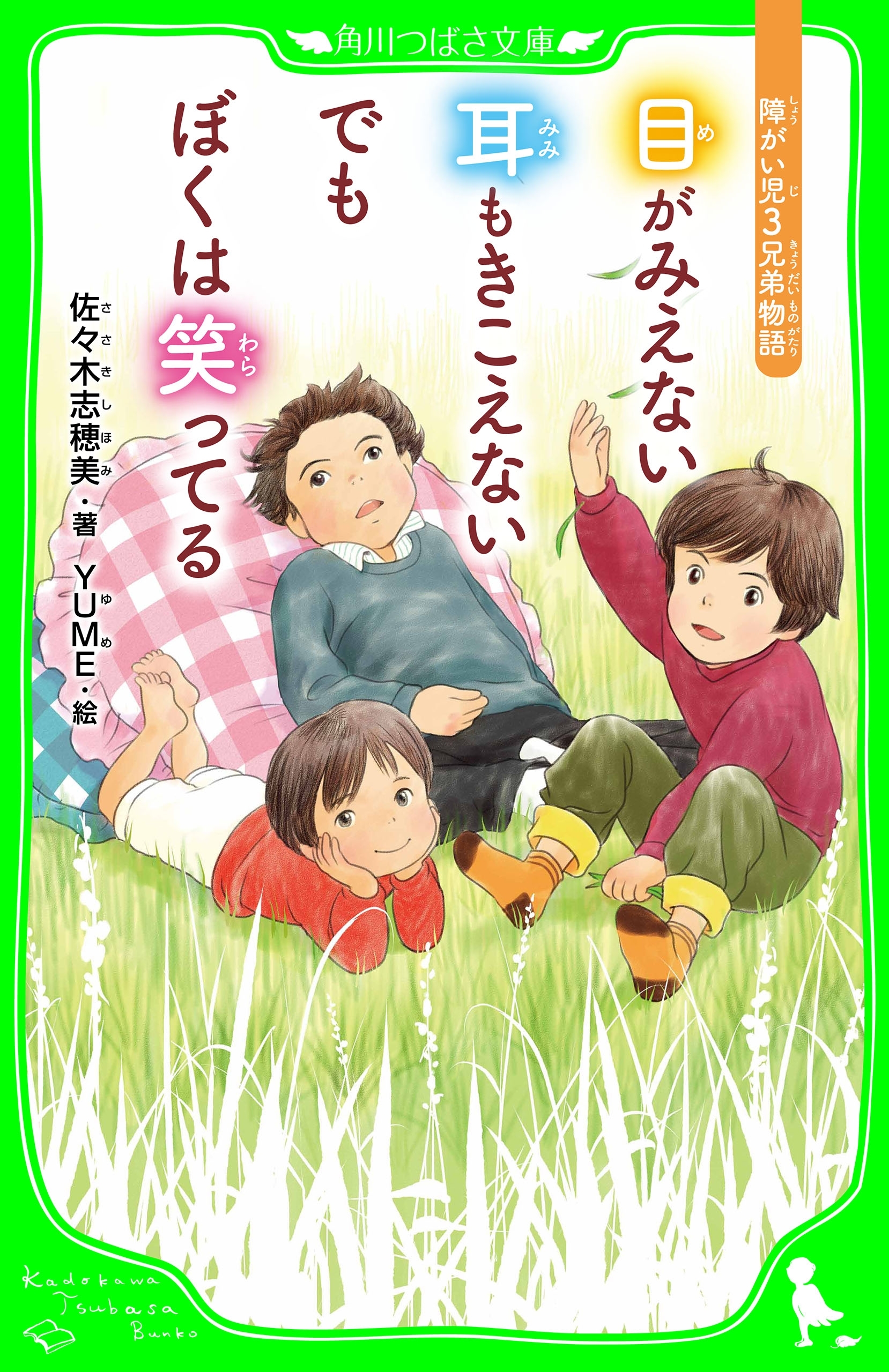 目がみえない　耳もきこえない　でもぼくは笑ってる　障がい児３兄弟物語