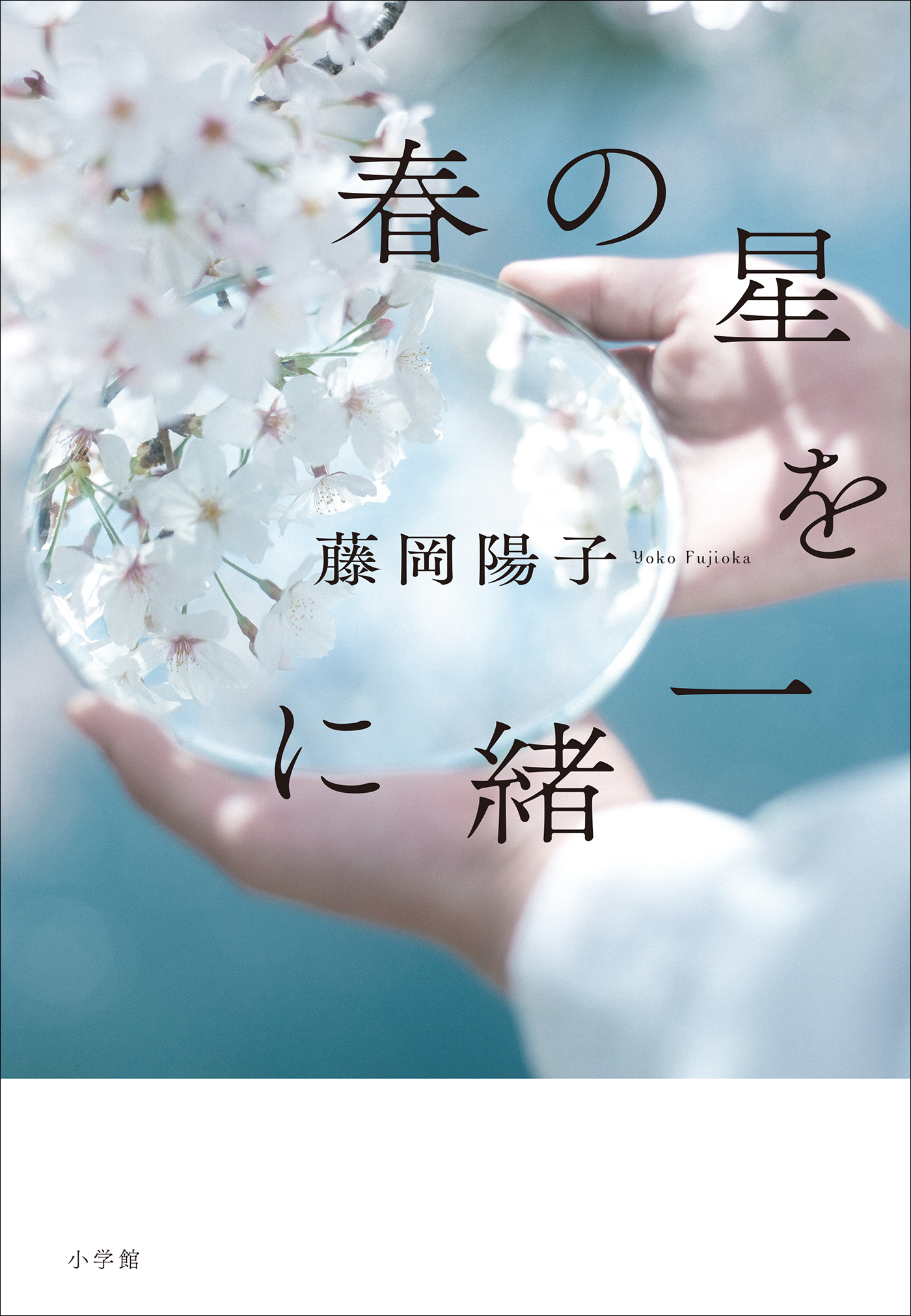 満天のゴール