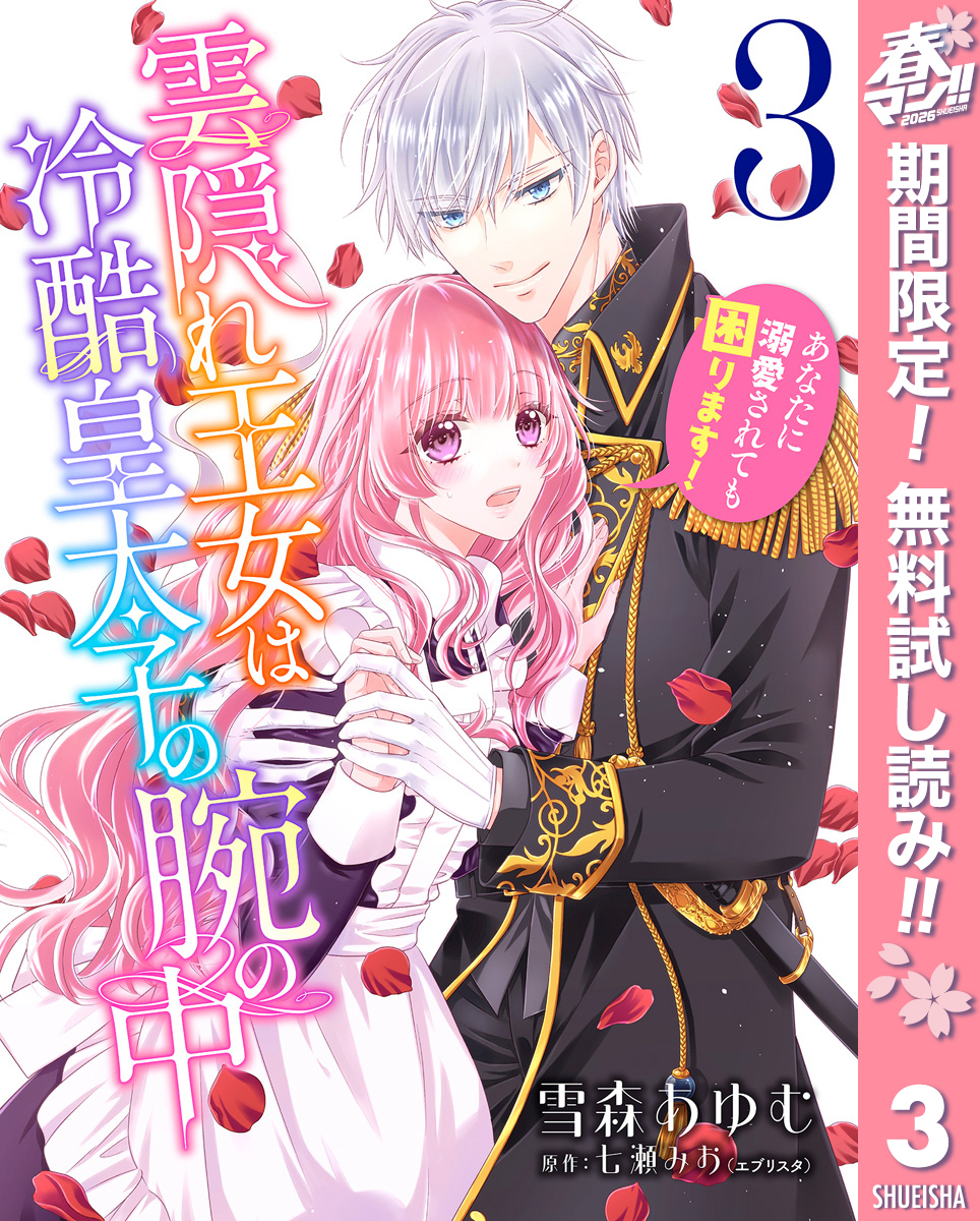 雲隠れ王女は冷酷皇太子の腕の中～あなたに溺愛されても困ります！【期間限定無料】 3