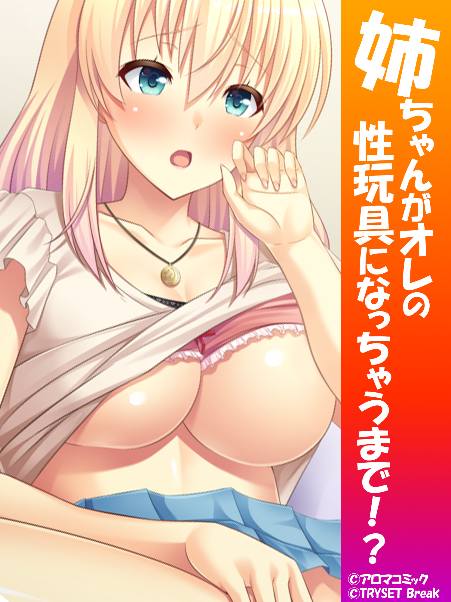 姉ちゃんがオレの性玩具になっちゃうまで！？