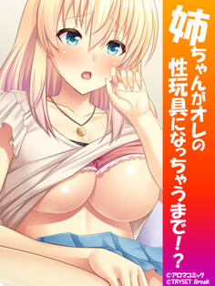 姉ちゃんがオレの性玩具になっちゃうまで!?