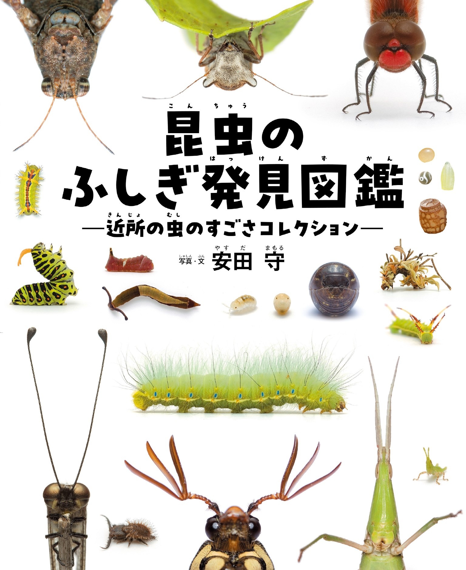 昆虫のふしぎ発見図鑑 近所の虫のすごさコレクション