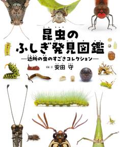 昆虫のふしぎ発見図鑑 近所の虫のすごさコレクション