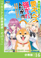 異世界転生したら愛犬ベスのほうが強かったんだが~職業街の人でも出来る宿屋経営と街の守り方~【分冊版】(ノヴァコミックス)16