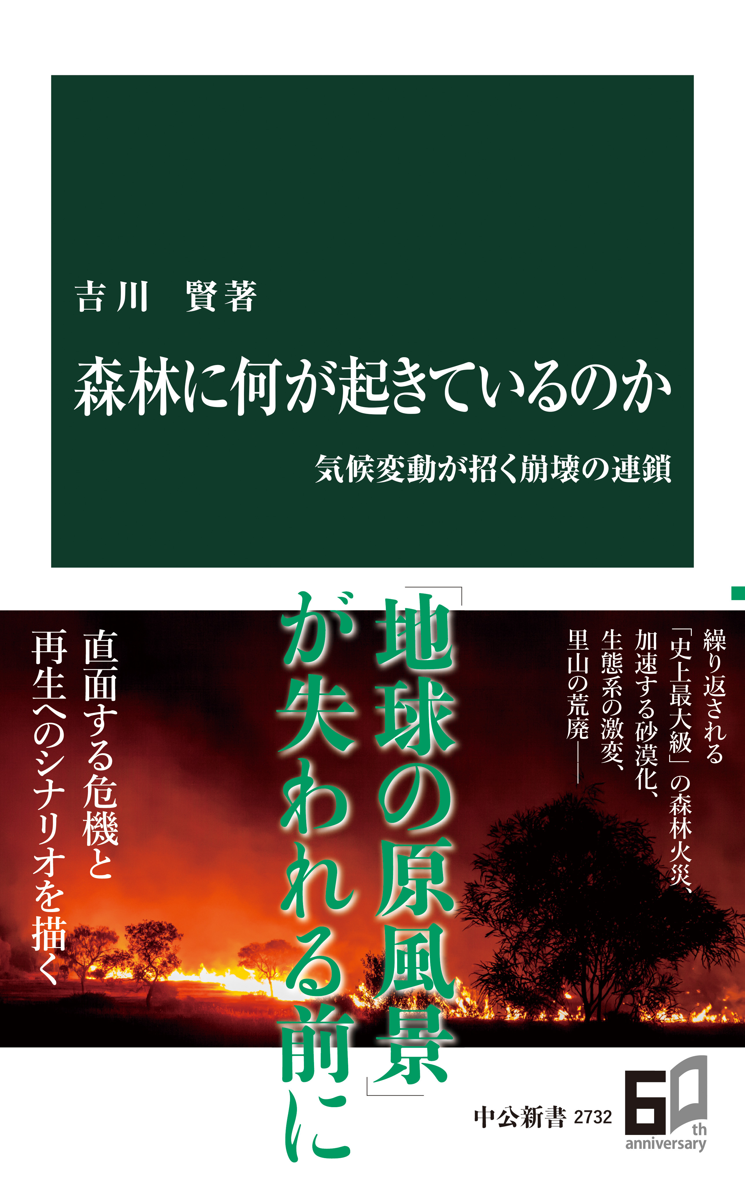 森林に何が起きているのか　気候変動が招く崩壊の連鎖