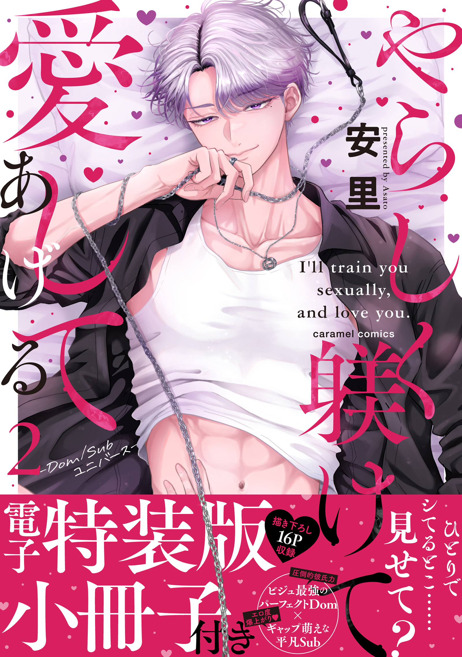 やらしく躾けて愛してあげる－Dom／Subユニバース－【単行本版／電子特装版小冊子付き】