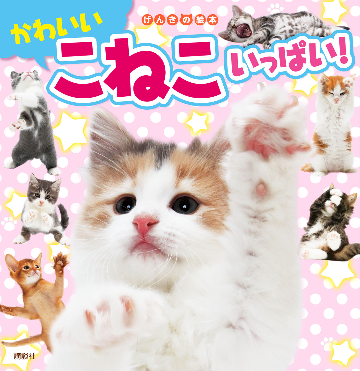 げんきの絵本　かわいい　こねこ　いっぱい！