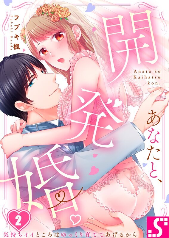 あなたと、開発婚。～気持ちイイところはゆっくり育ててあげるから(2)
