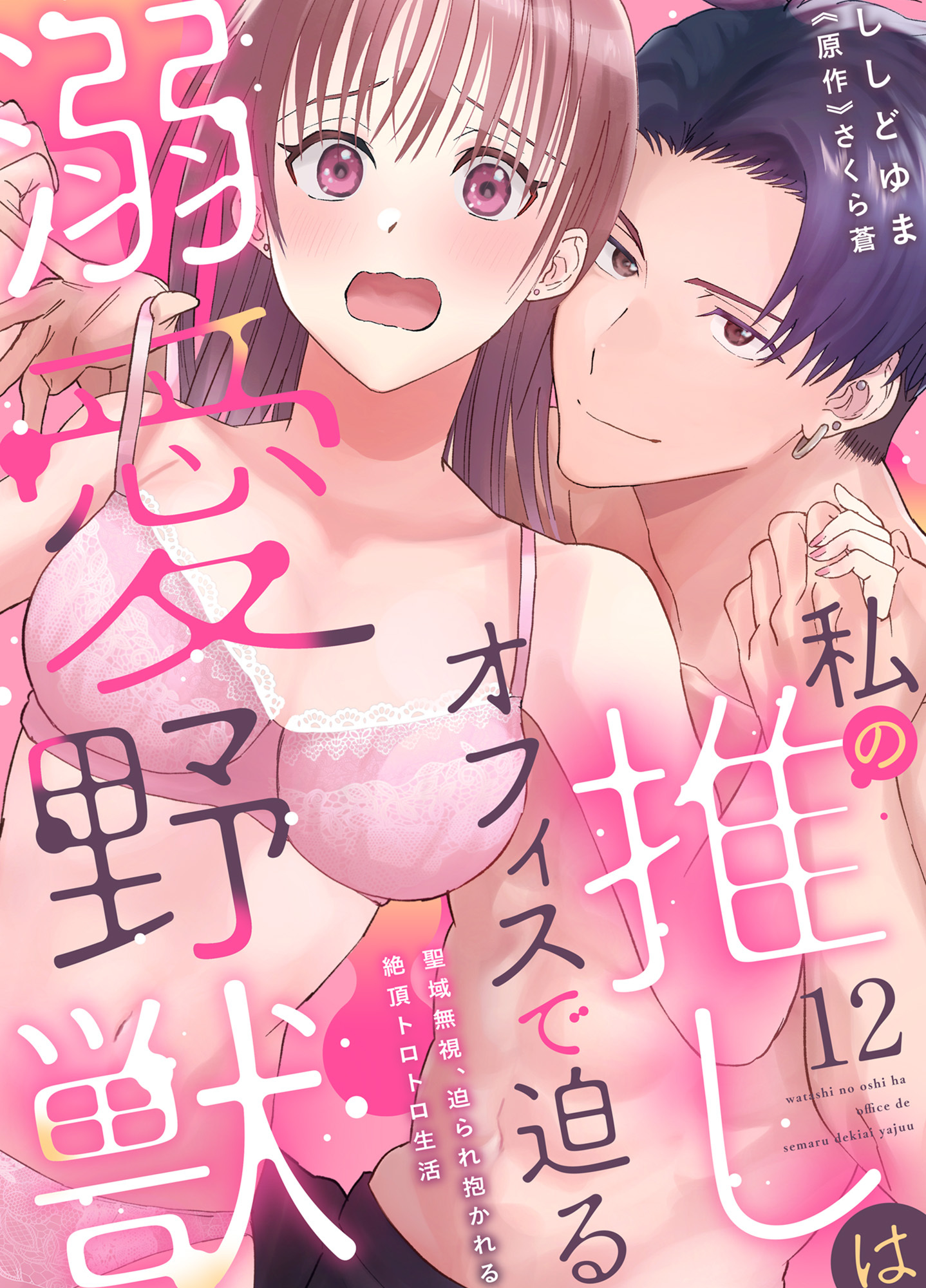 私の推しはオフィスで迫る溺愛野獣～聖域無視、迫られ抱かれる絶頂トロトロ生活～ 12