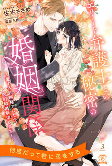 エリート弁護士との秘密の婚姻関係 ~愛する旦那様でしたが、契約結婚解消します!~【3】
