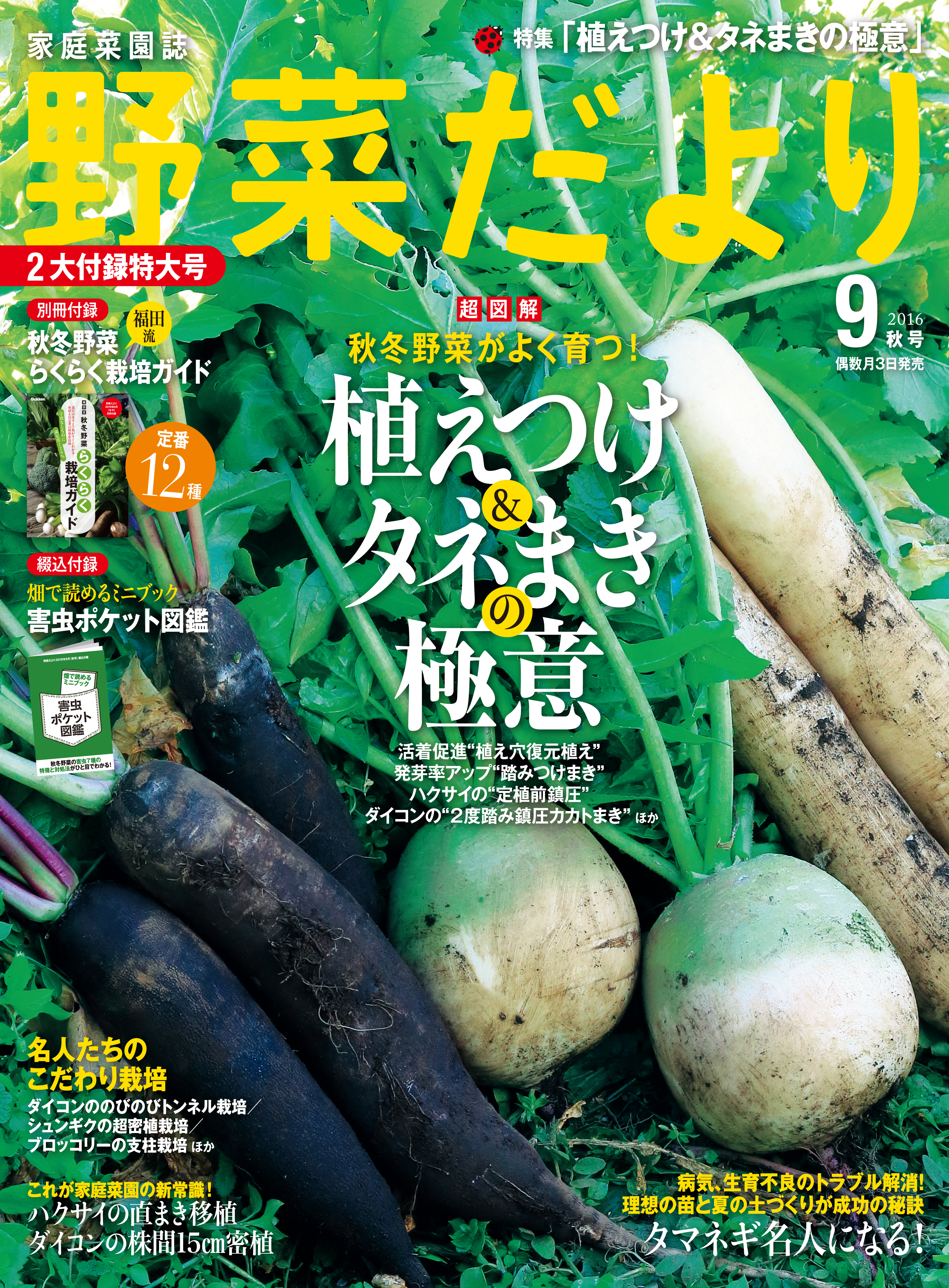 野菜だより2016年9月号