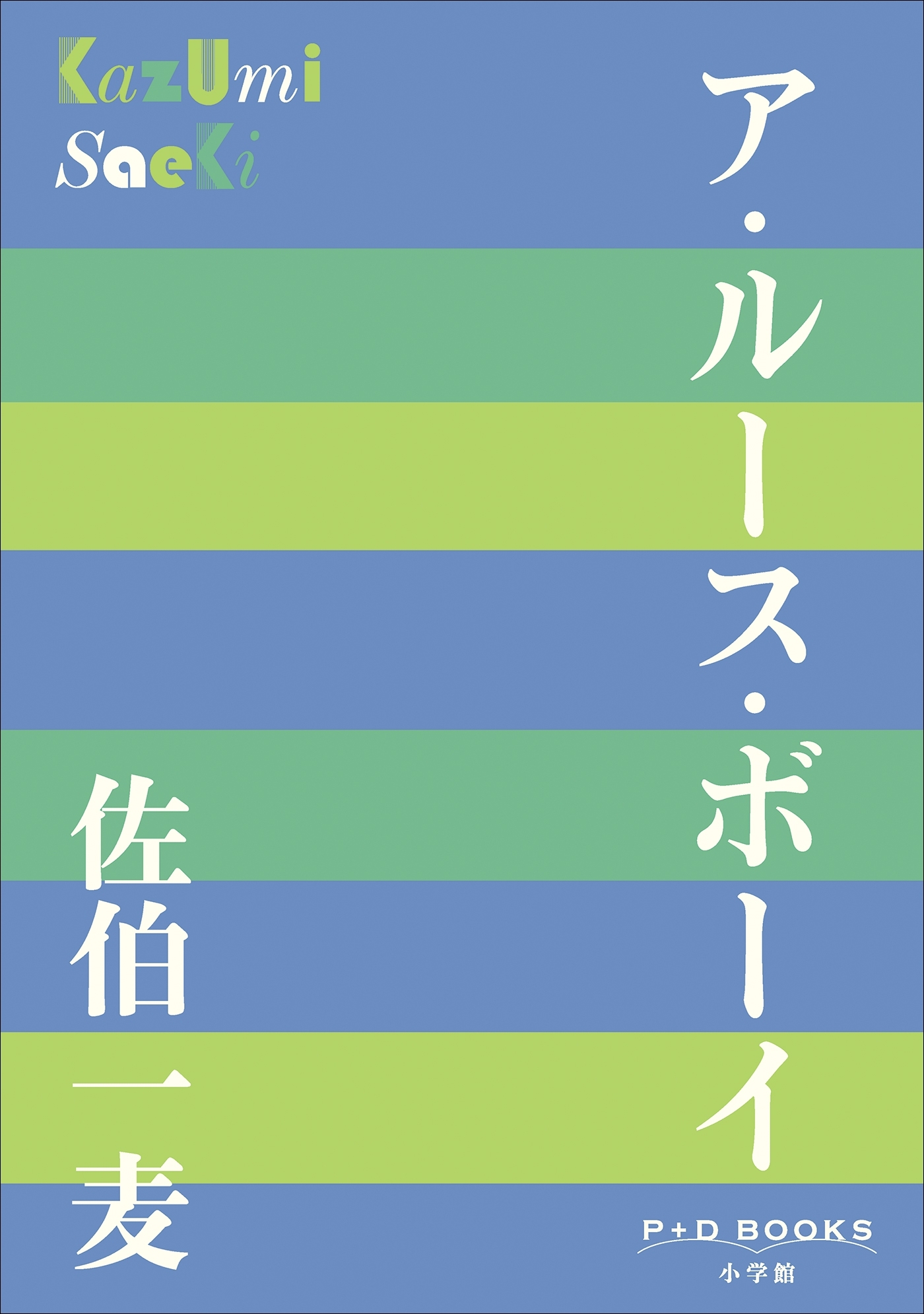 P+D BOOKS　ア・ルース・ボーイ