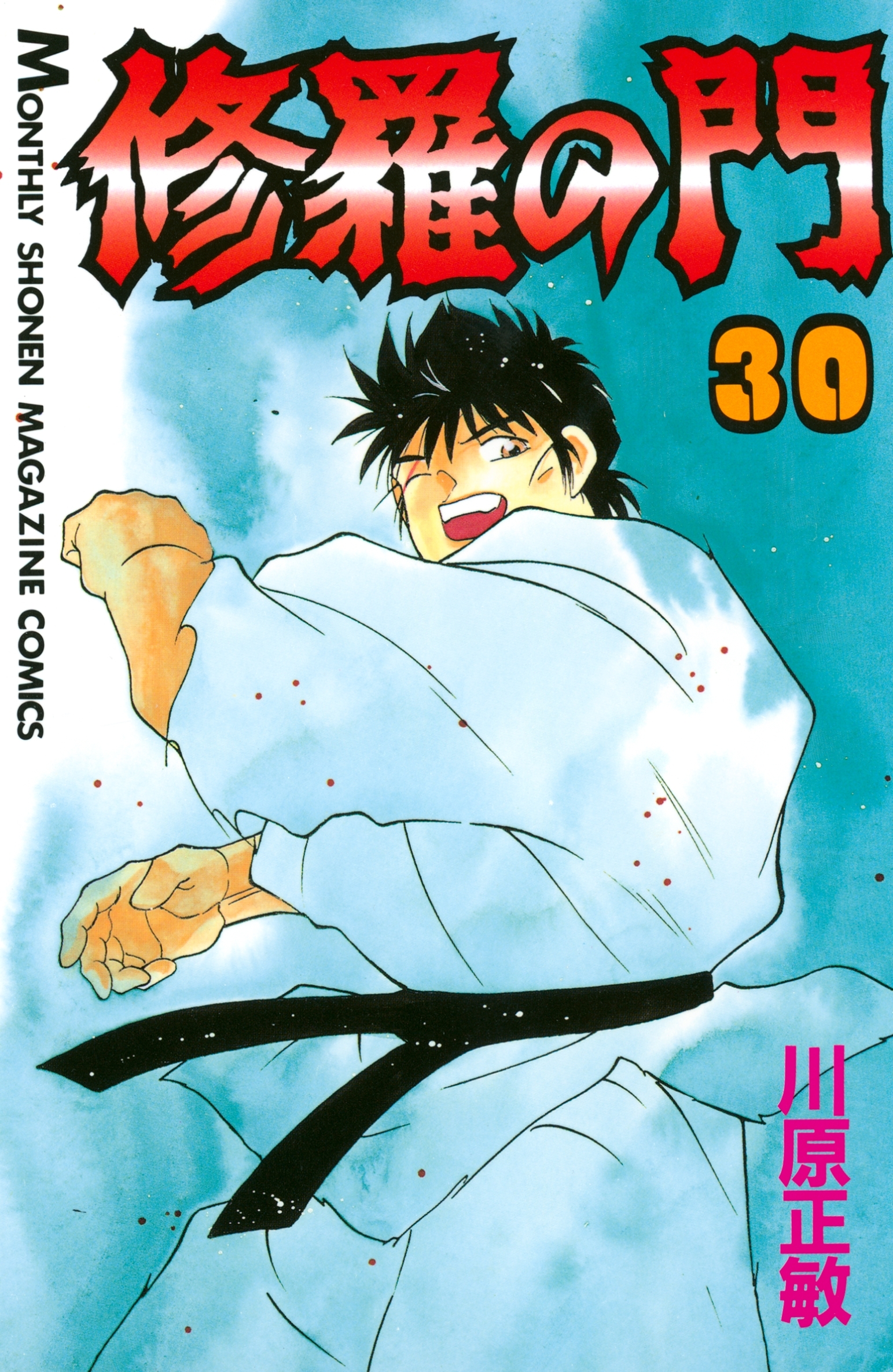 修羅の門（30）