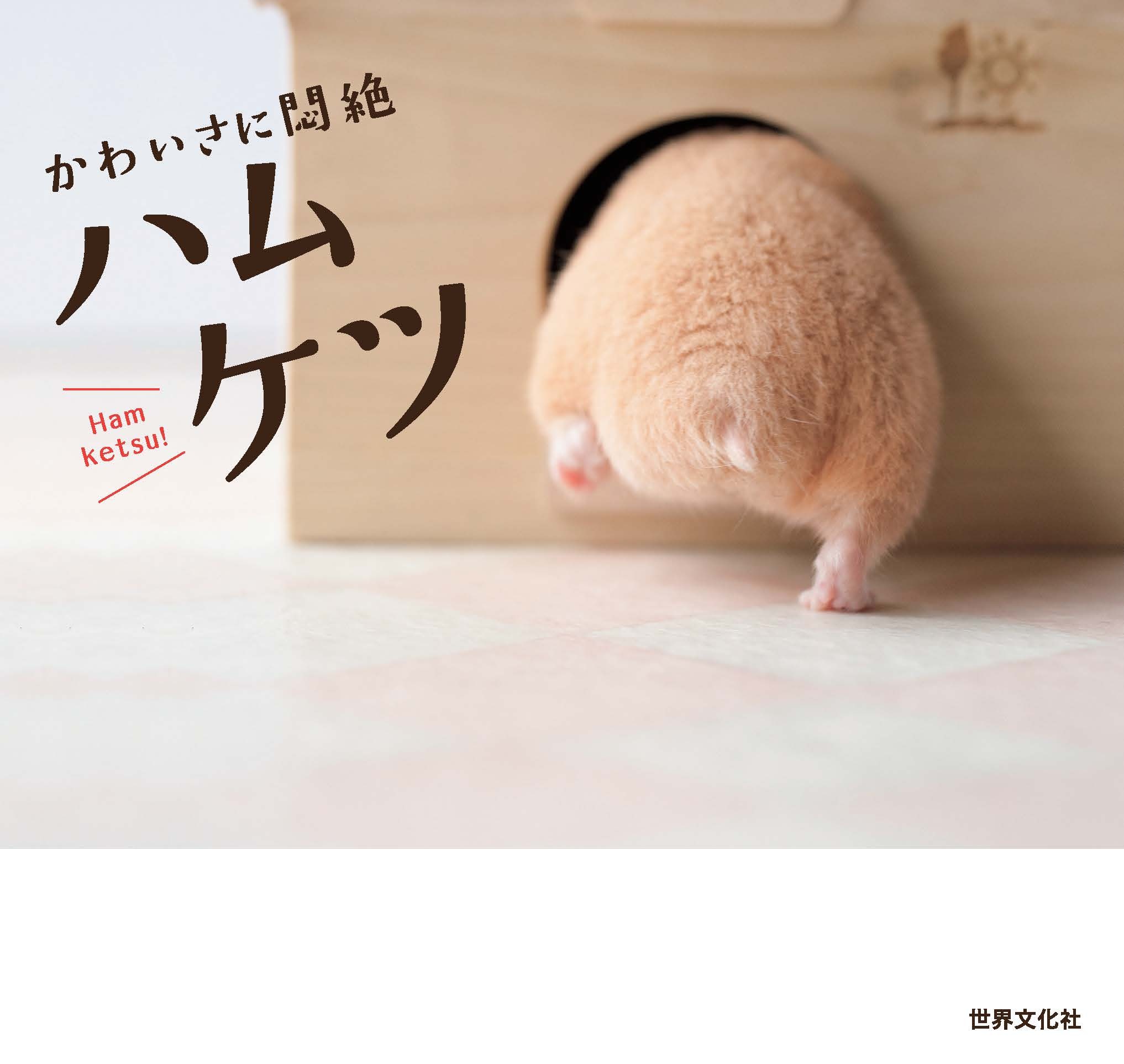 かわいさに悶絶 ハムケツ