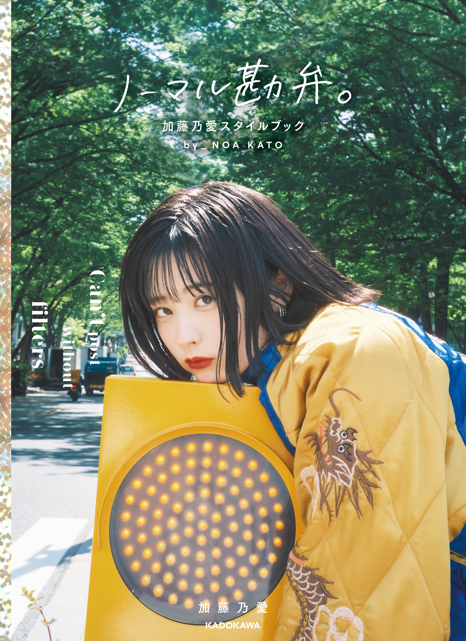 ノーマル勘弁。　加藤乃愛スタイルブック