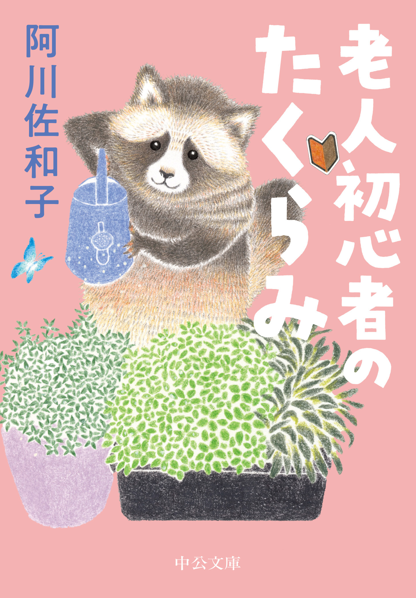 老人初心者のたくらみ