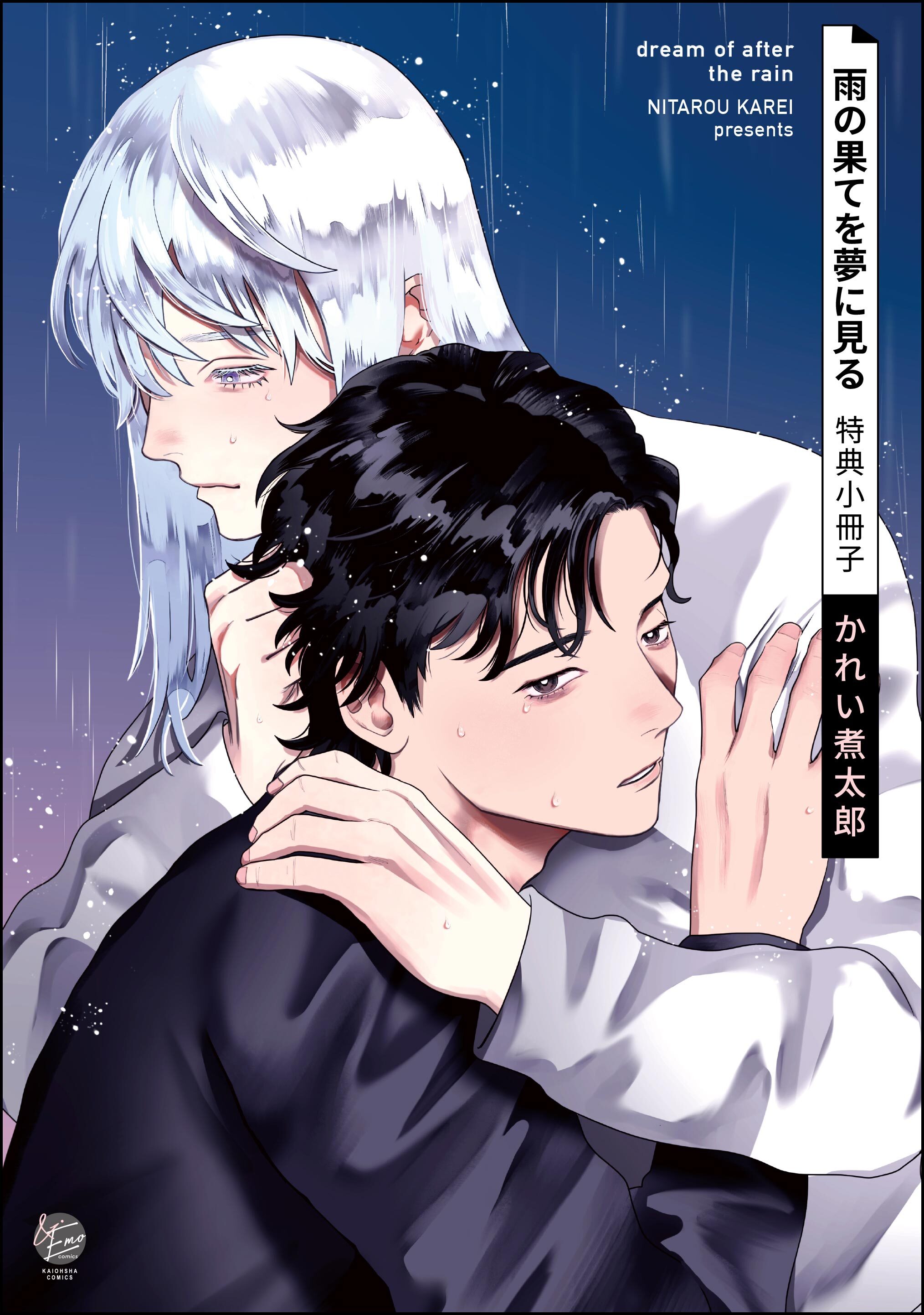 雨の果てを夢に見る特典小冊子