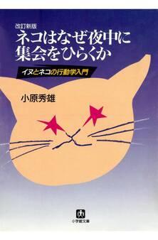 ネコはなぜ夜中に集会をひらくか(小学館文庫)