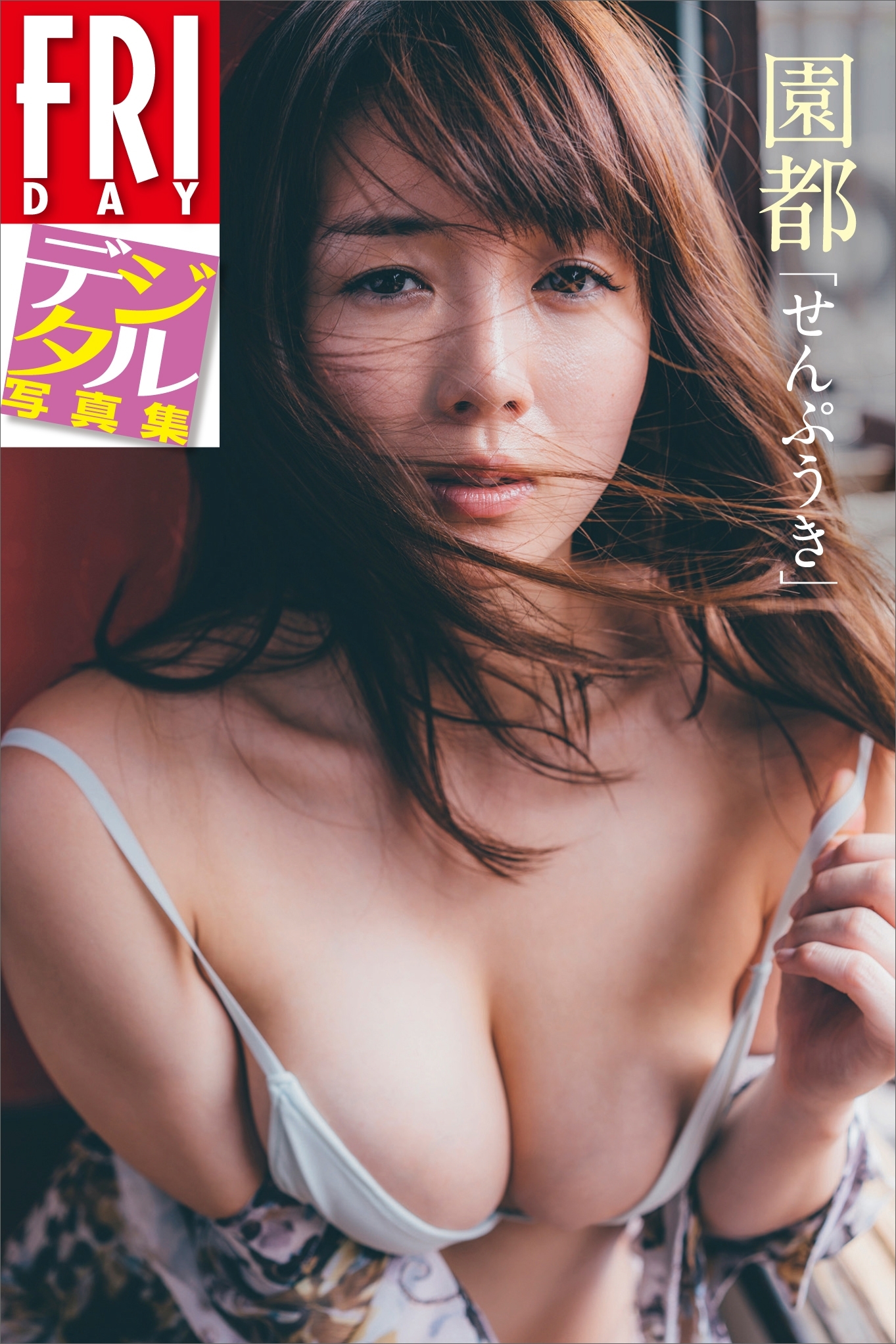 ＦＲＩＤＡＹデジタル写真集　園都「せんぷうき」