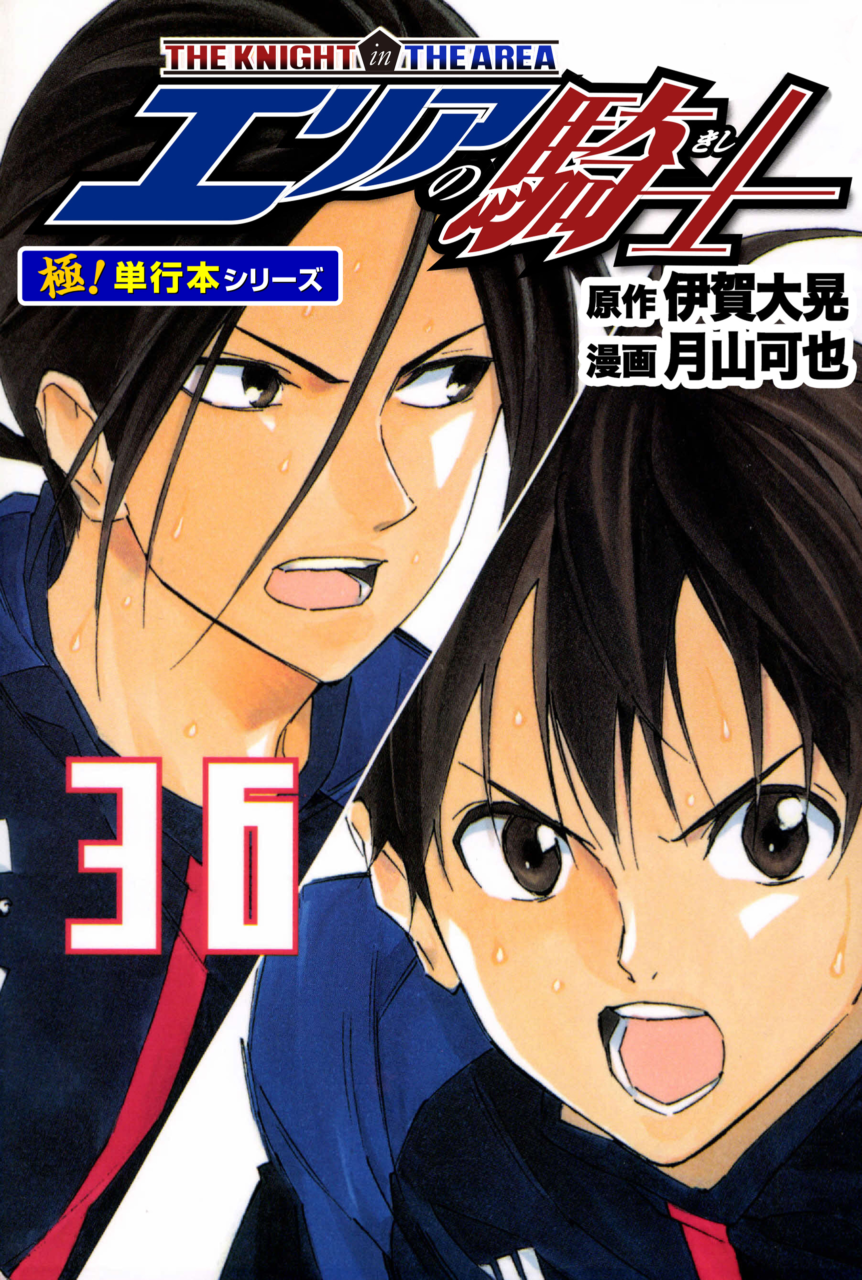 エリアの騎士【極！単行本シリーズ】36巻