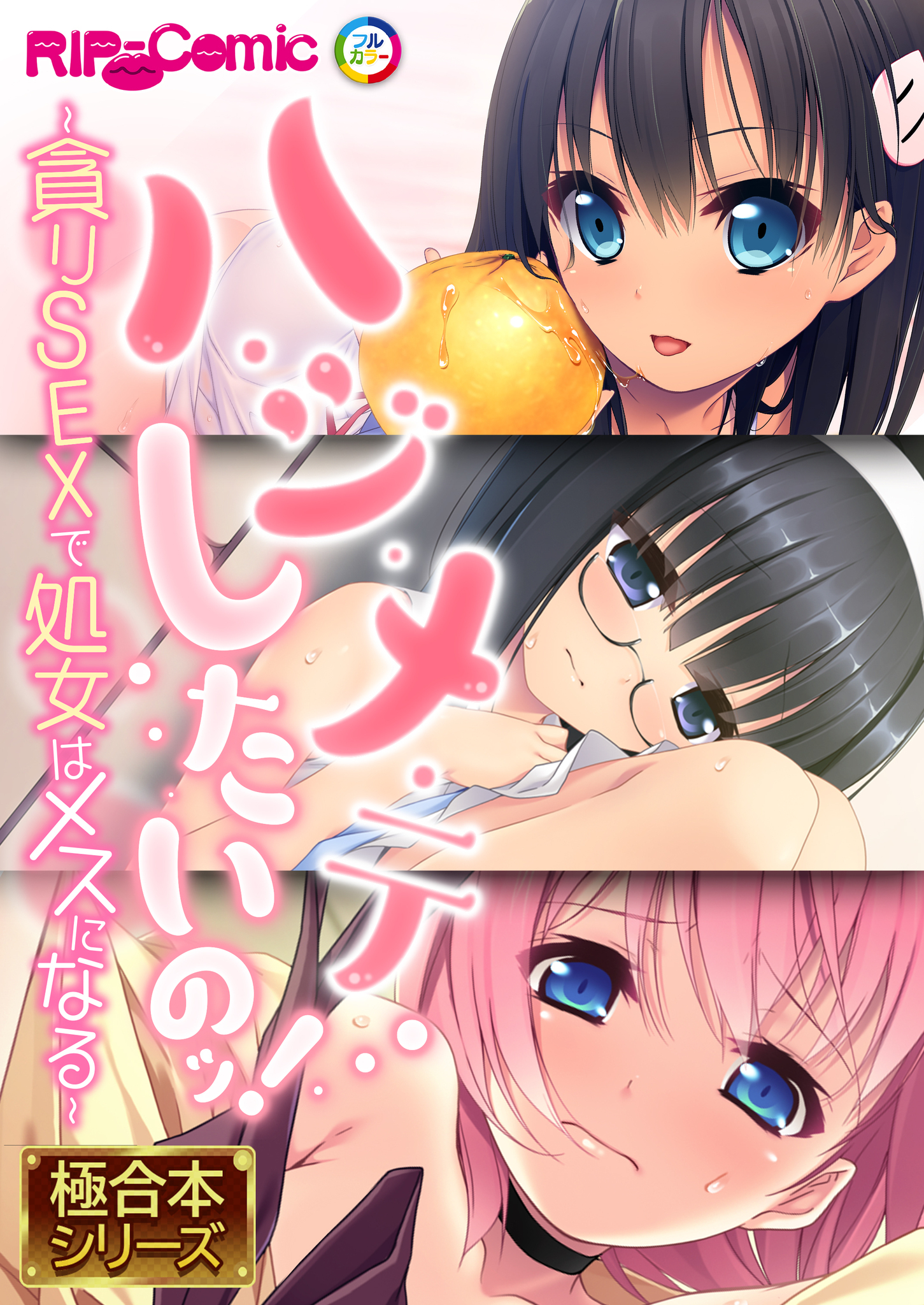 ハ・ジ・メ・テしたいのッ！ ～貪りSEXで処女はメスになる～【極合本シリーズ】