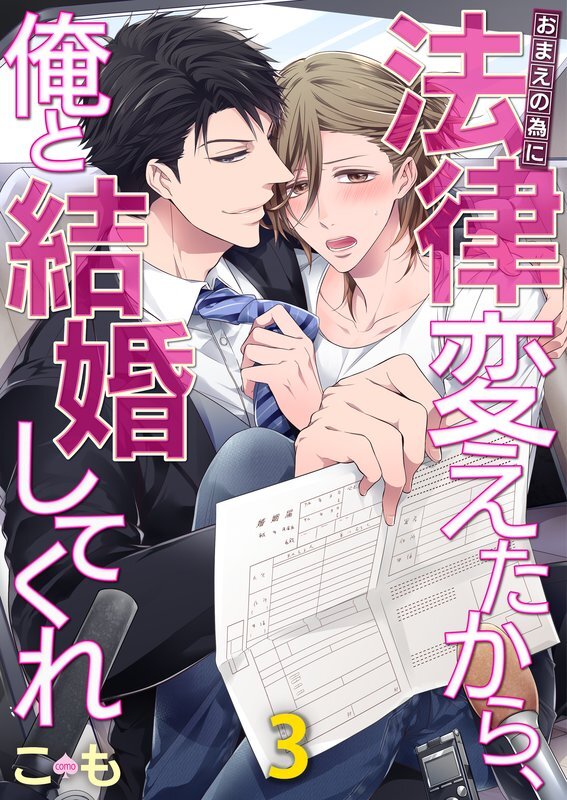 おまえの為に法律変えたから､俺と結婚してくれ(3)