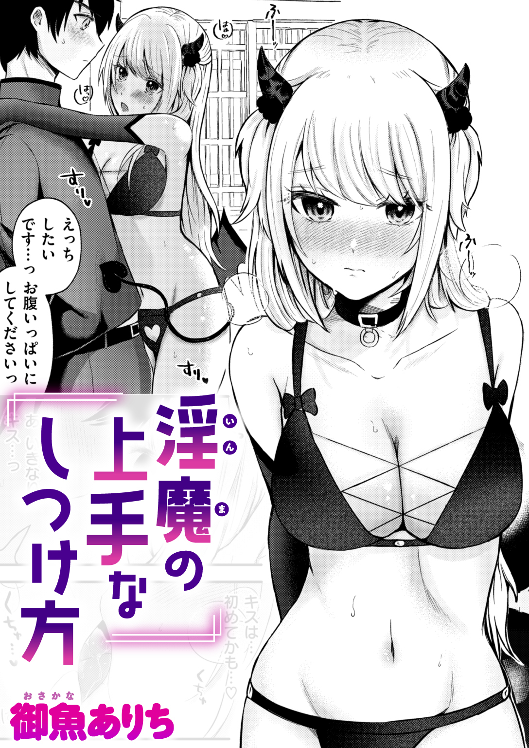 淫魔の上手なしつけ方